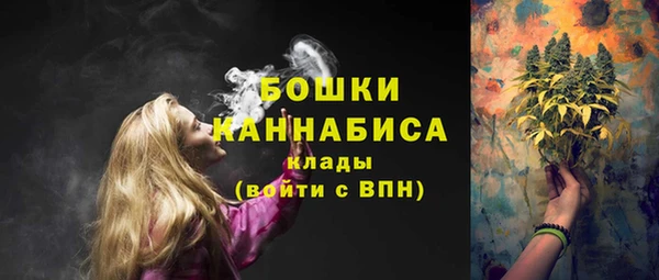 дурь Сатка