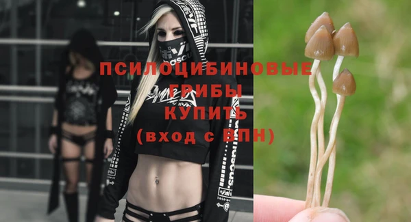 хмурый Горняк