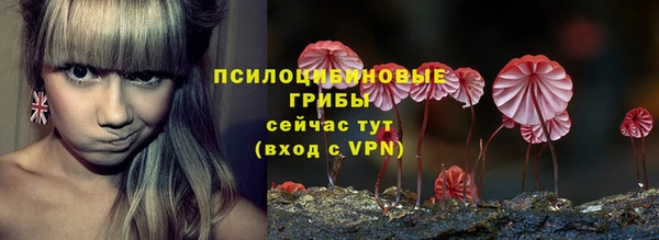 хмурый Гусиноозёрск